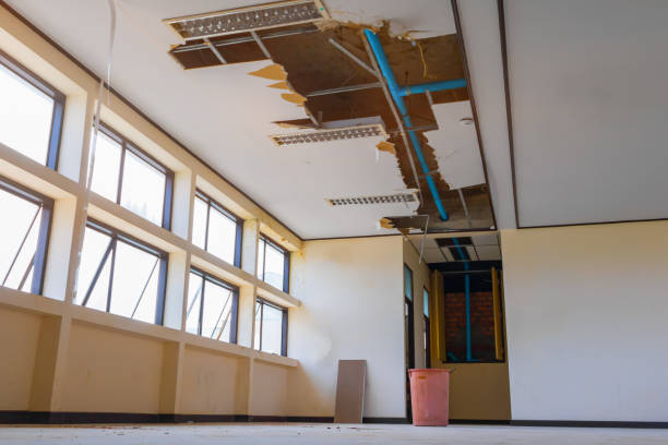 Best Ceiling water damage repair  in Macon, MO