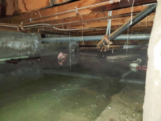 Best Commercial water damage restoration  in Macon, MO