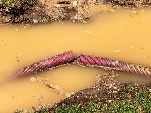 Best 24/7 water damage repair  in Macon, MO
